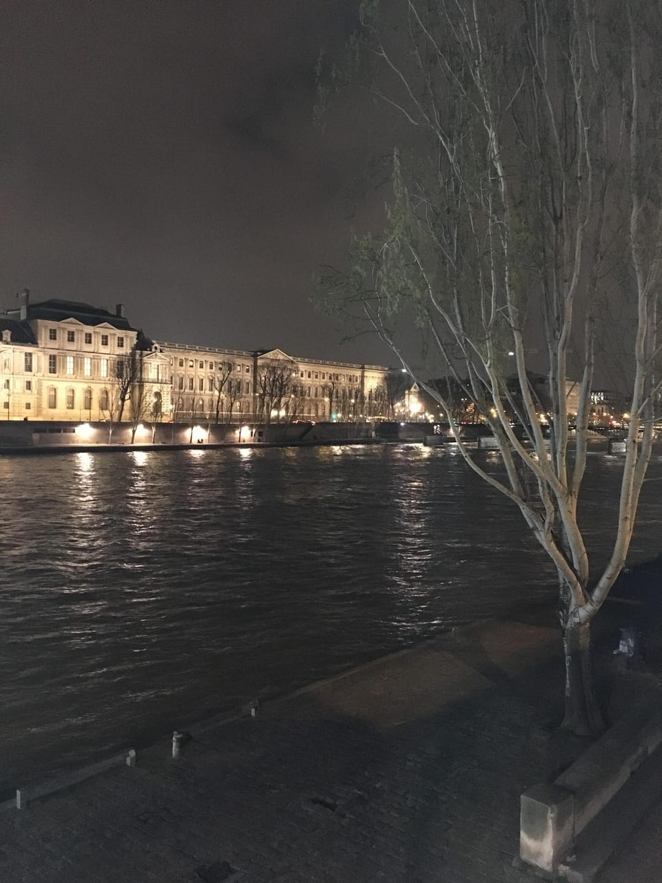 Just a few minutes away on foot, a nice stroll along the Seine.