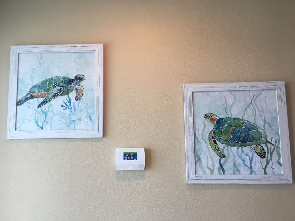 Beach themed decor throughout our home.