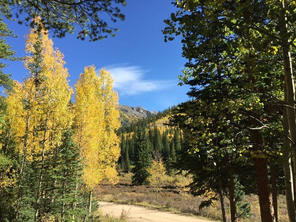 Fall - lots of Aspen trees.
