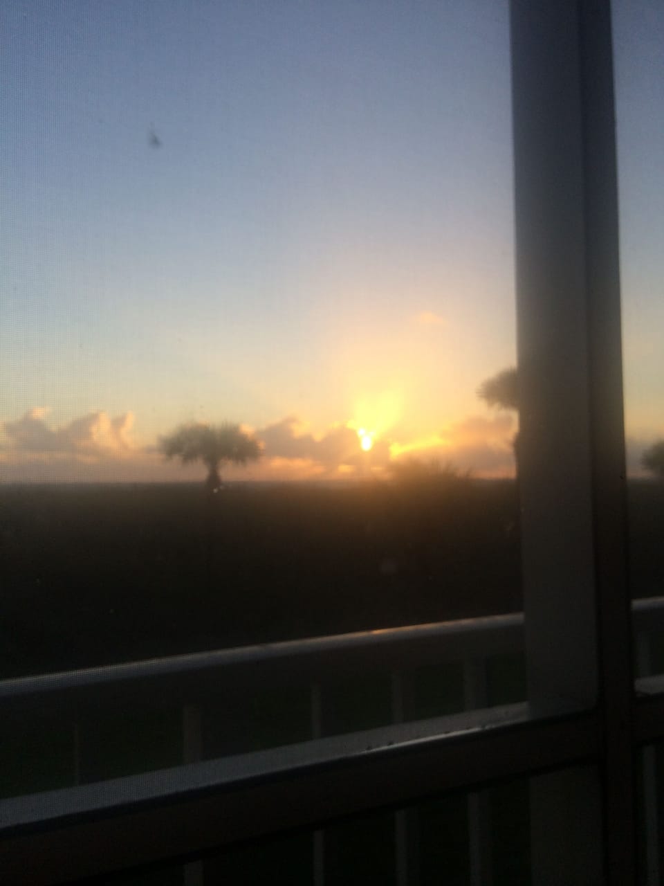 from the balcony