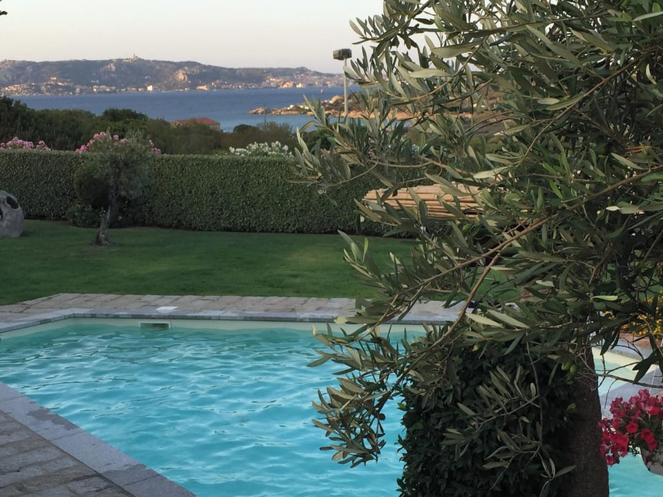 Swimming pool view