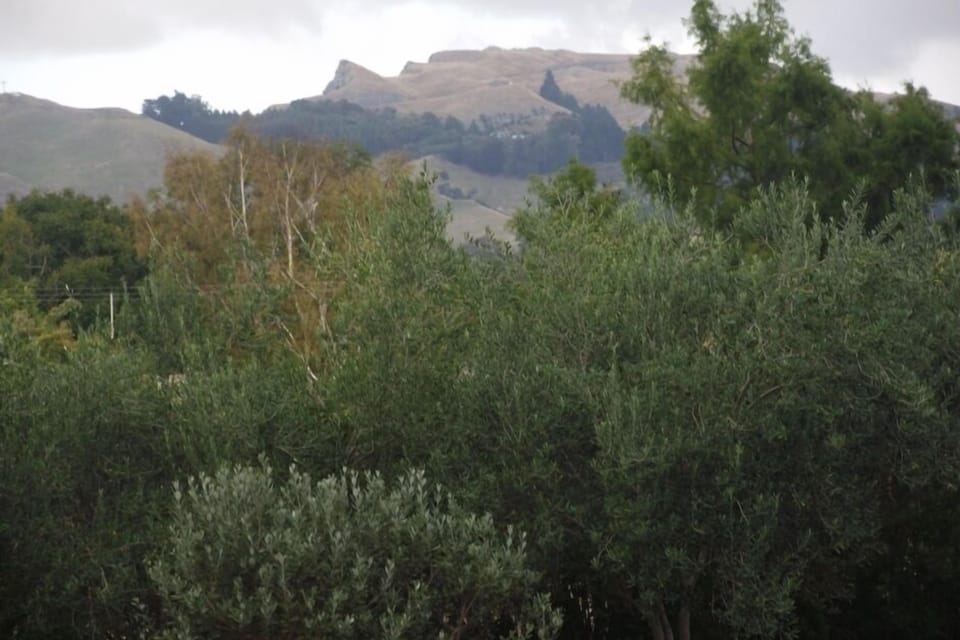 Te Mata Peak View