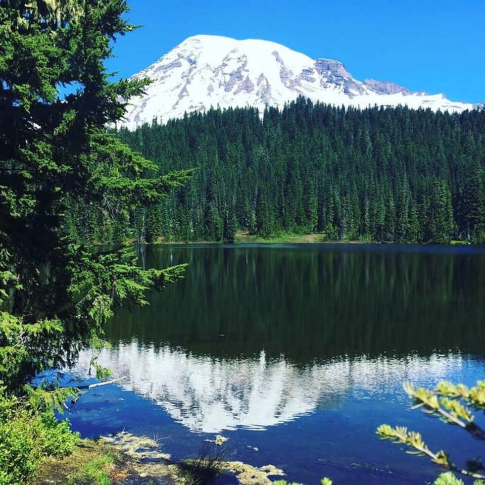 A beautiful drive to Mt Rainier is waiting for you!  You can be there in just under an hour from here.