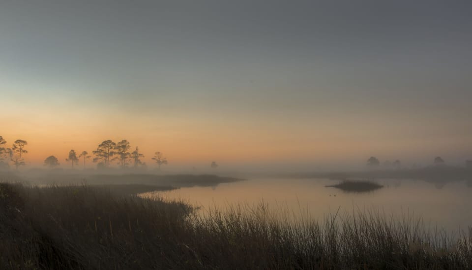 Early Morning Fog on the River
