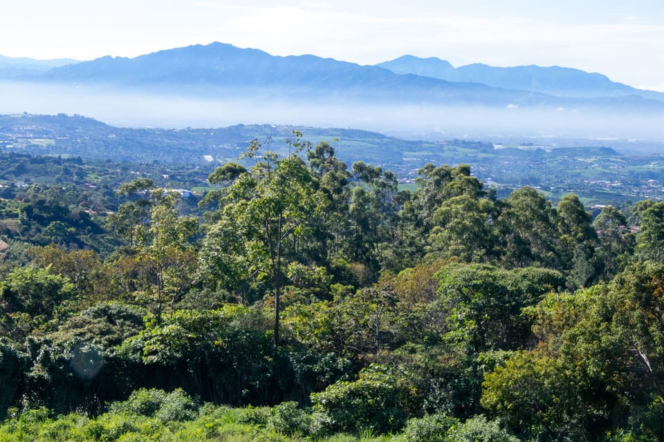 Closer view of nearby mountains.