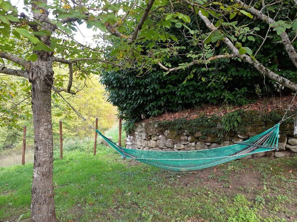  the hammock under the walnut tree