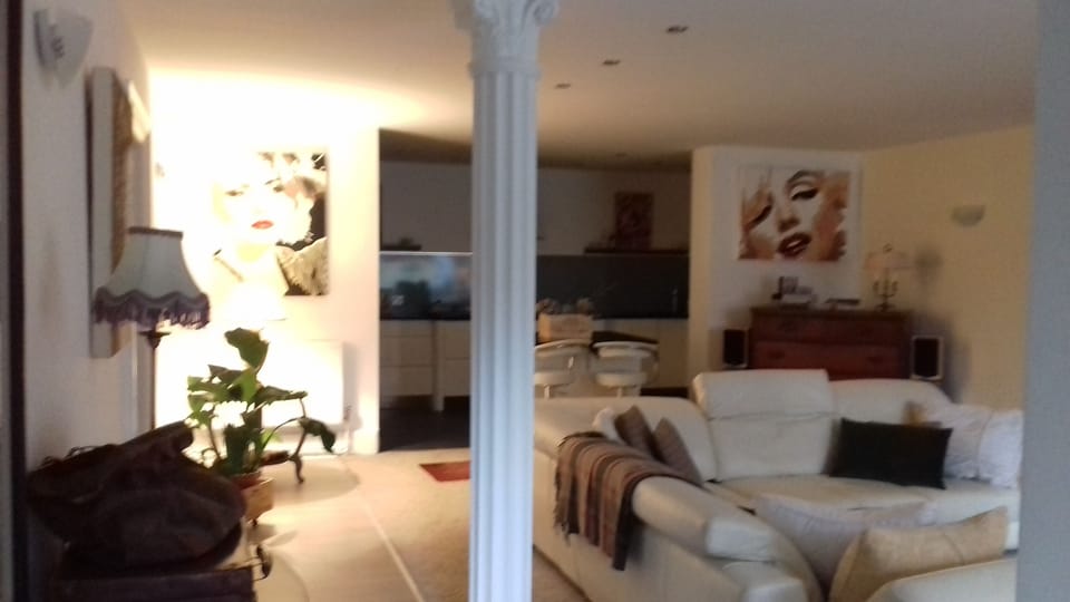 Lounge with open plan kitchen in rear .