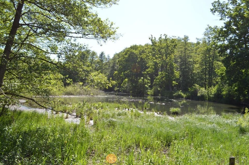 Viewpoint from terrace