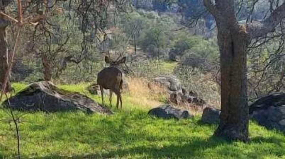 Also seen in the front yard! 