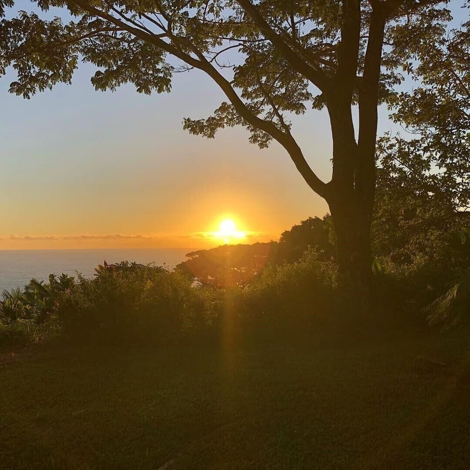 Sunrise from Hamakua!