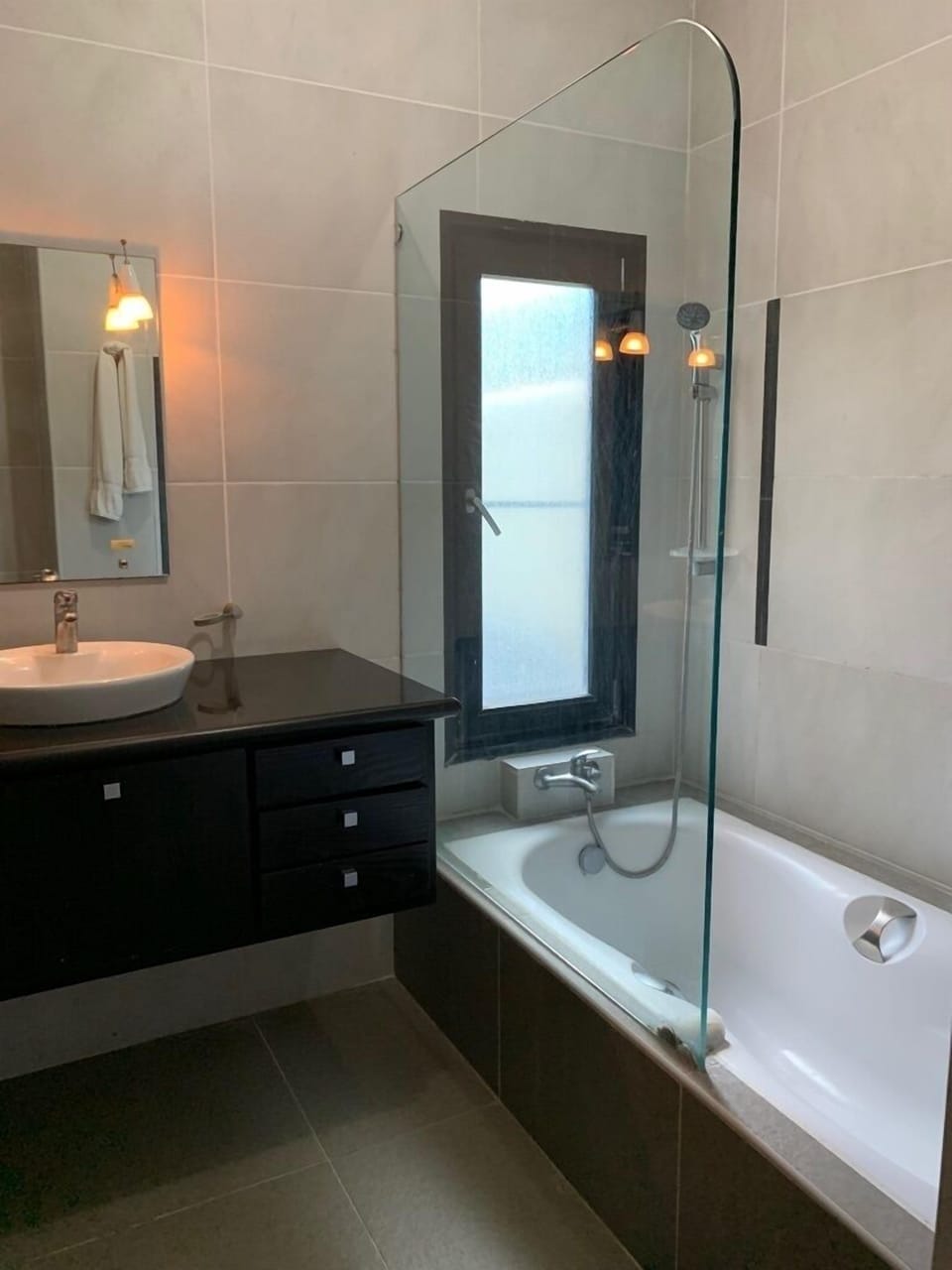 Lower level bathroom 