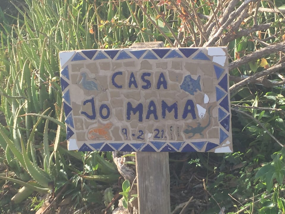 Casa Jo Mama ..a water paradise