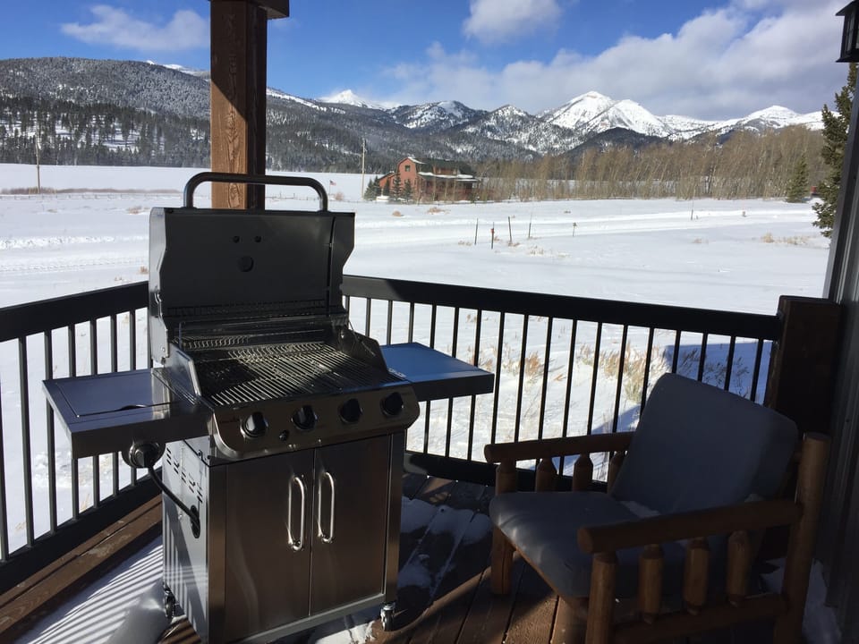 Stainless BBQ on deck