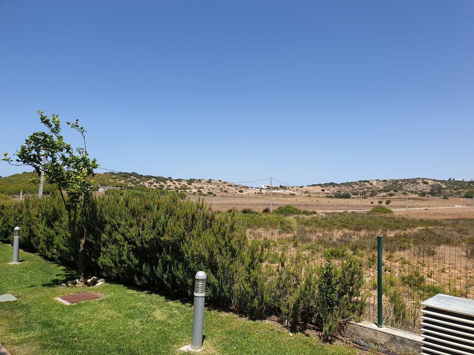 View from back patio 