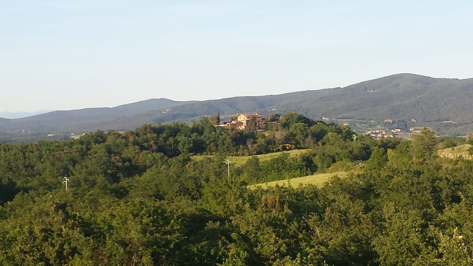 THE WHOLE FARMHOUSE IN THE DISTANCE
