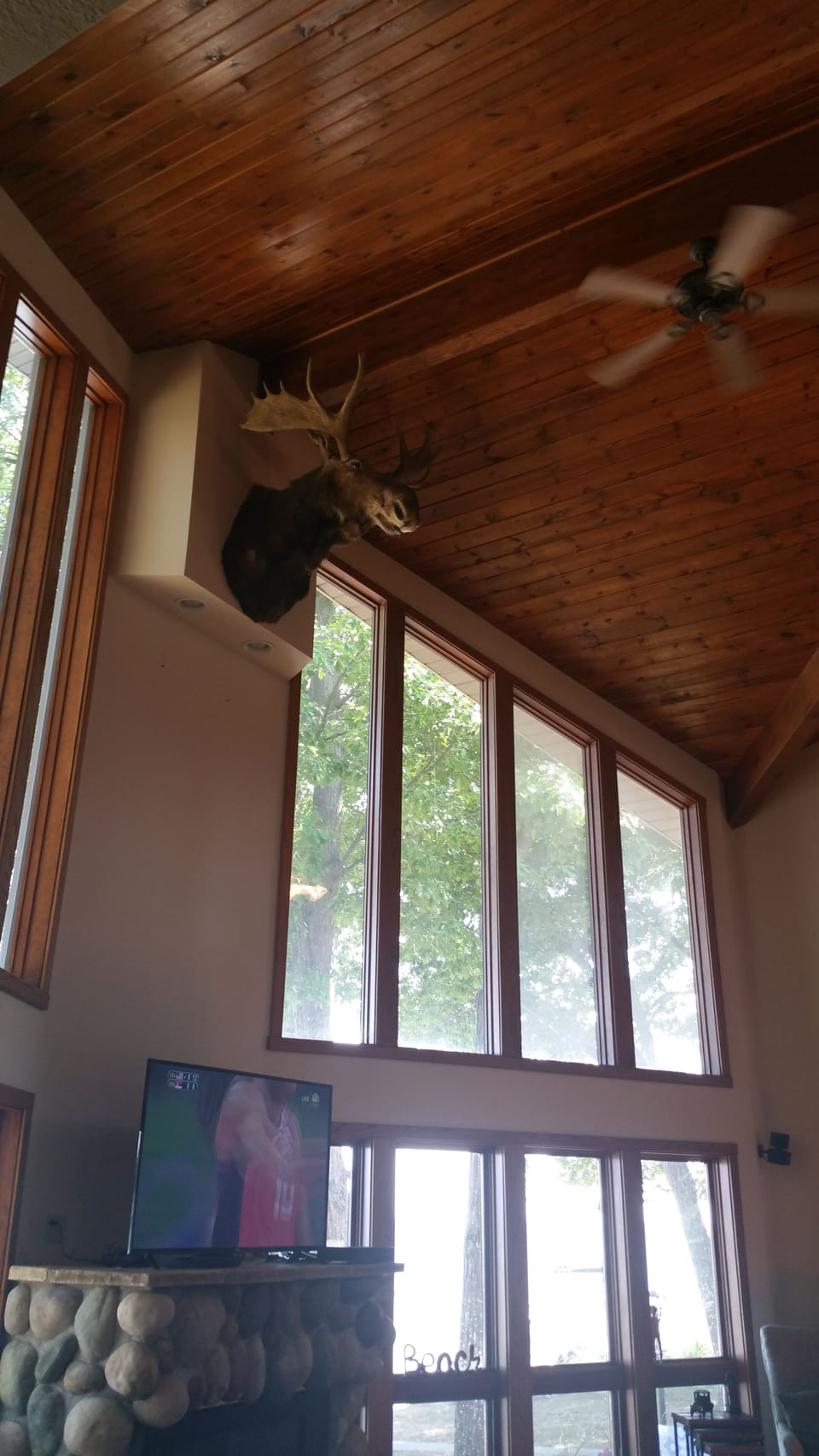 Marty the Moose