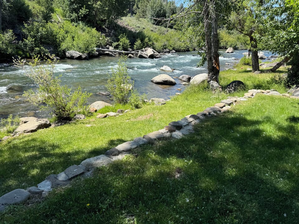 Lawn and Truckee River