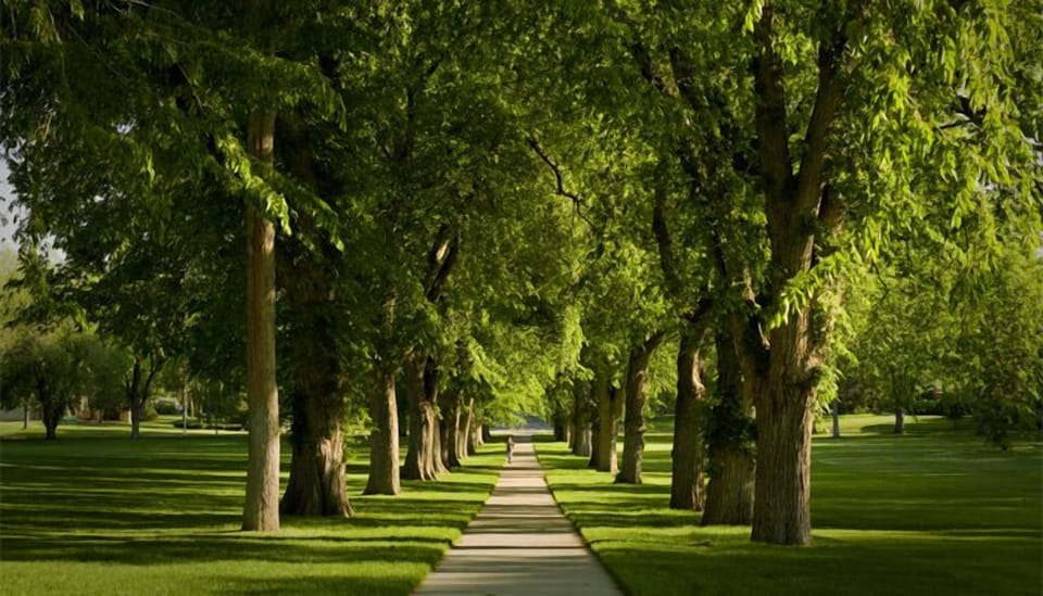 CSU Campus (The Oval)