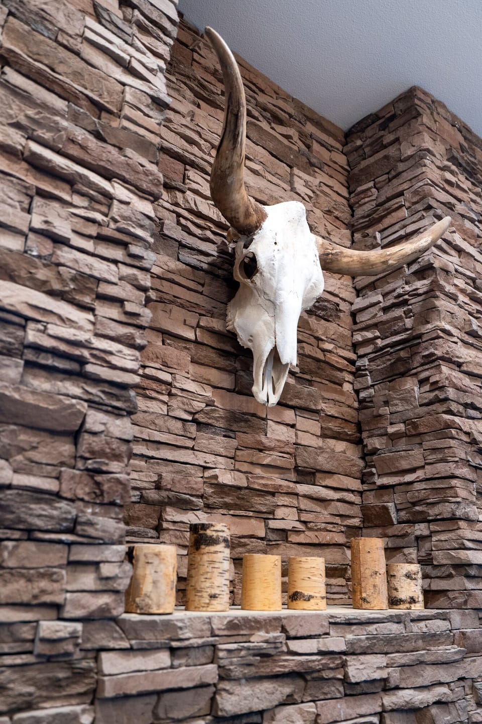Longhorn skull in game room.