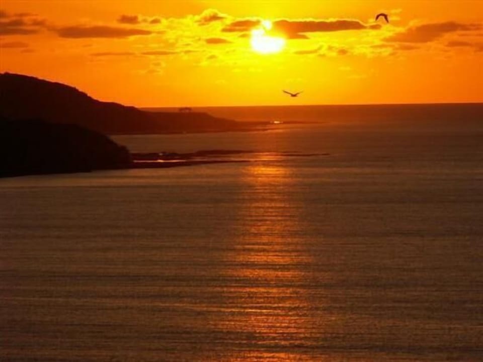 Amazing Sunsets