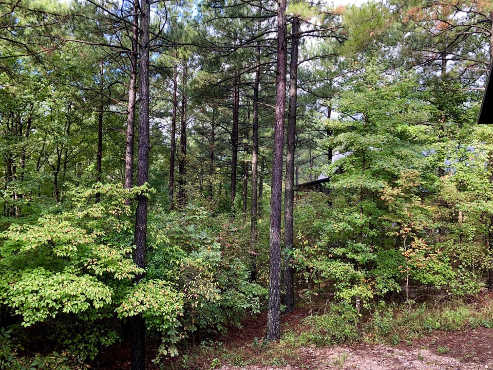 1.2 acres of forest make backyard your private getaway