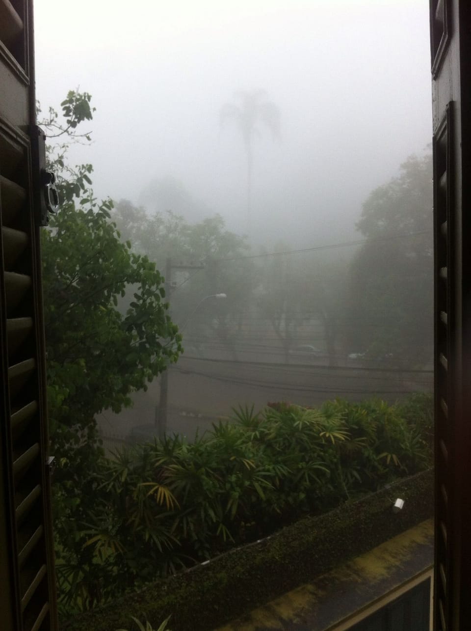 View from property