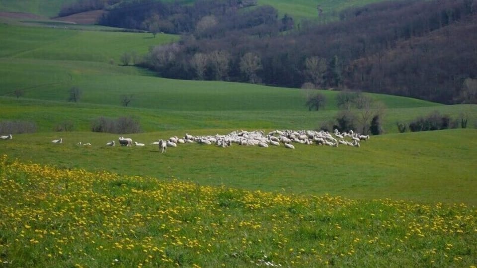 Countryside next to apartment
