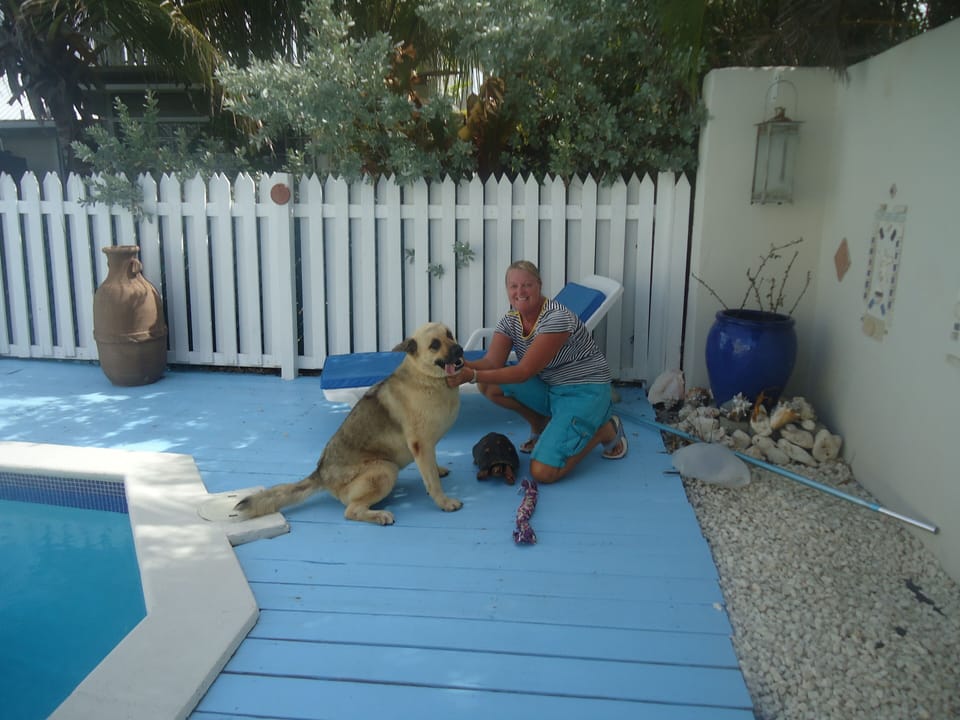 The owner Diana with her wonderful companion Duke. Not forgetting Horace the tor