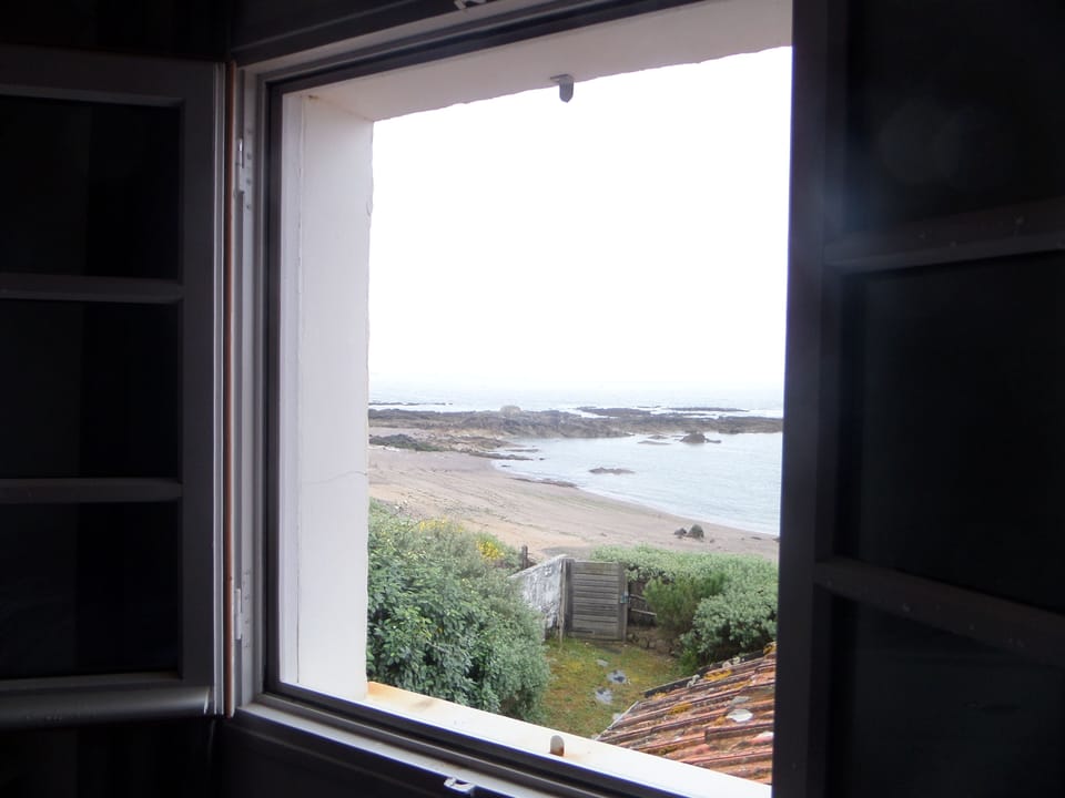 view from kitchen window