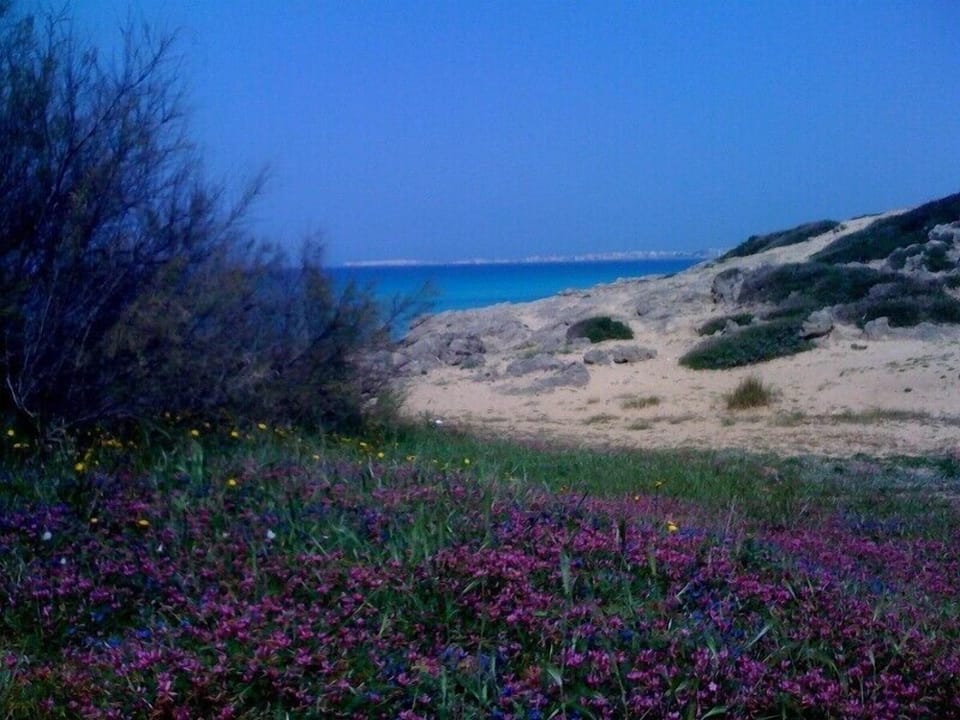 Punta della Suina beach near Gallipoli