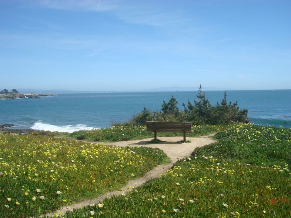 Stroll to many meditative spots along West Cliff Drive~