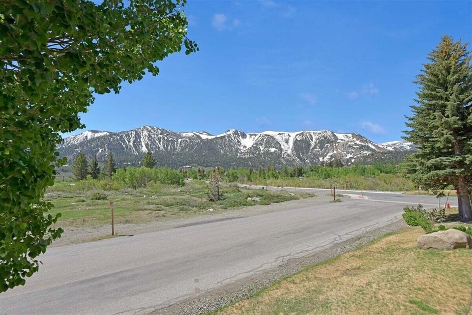 Summer View
