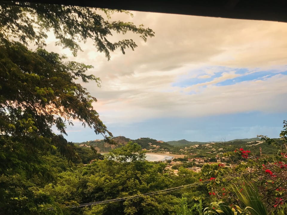 View from the terrace 