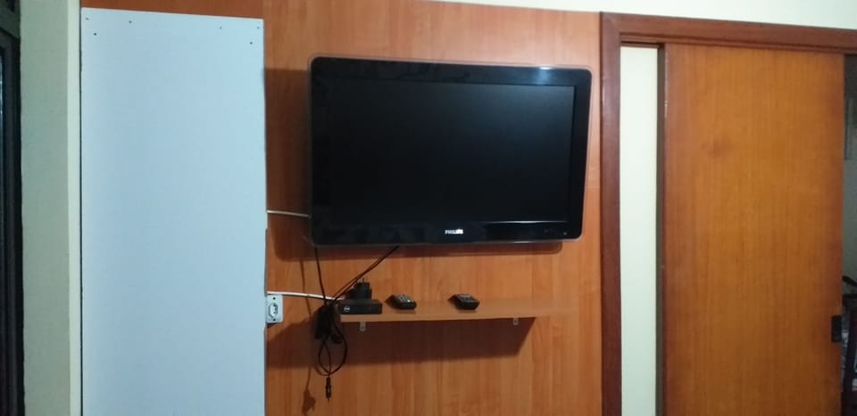 Television
