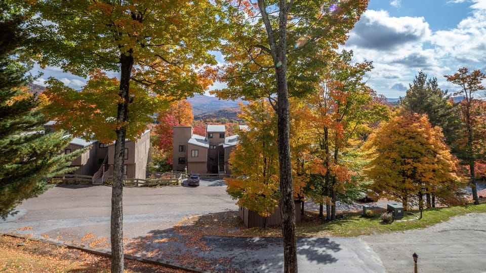 North Lynx view between the trees in the Fall