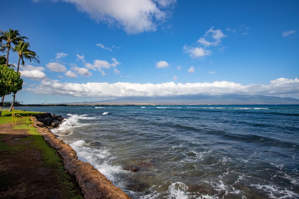 When the freight train wave come in there will be surfers aplenty