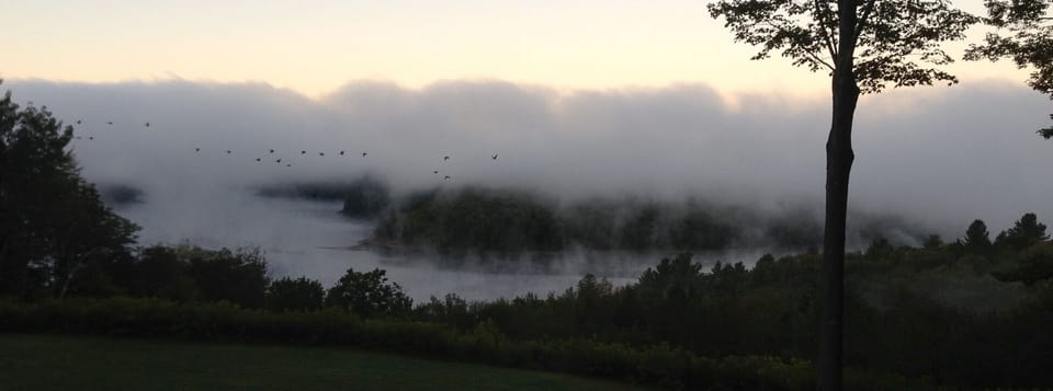 Early Spring Morning