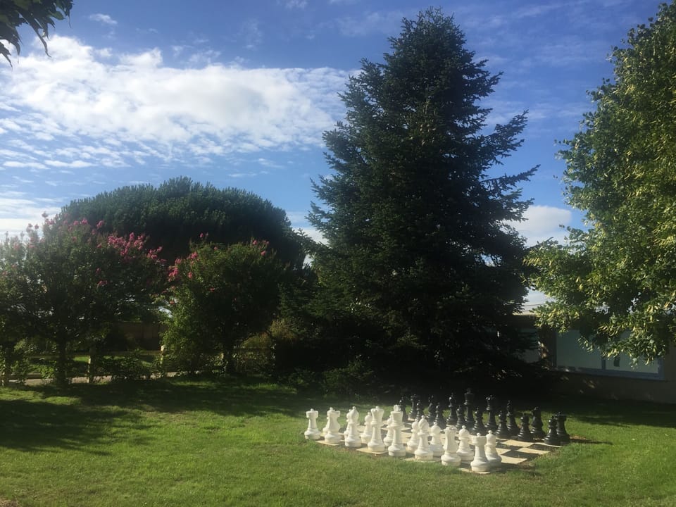 Giant chess set