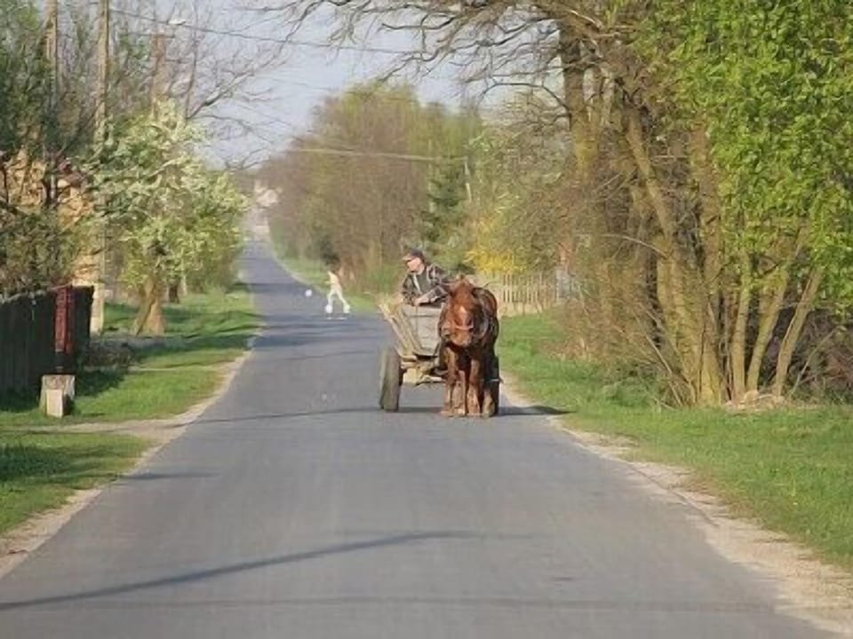 The village road-in front of our house