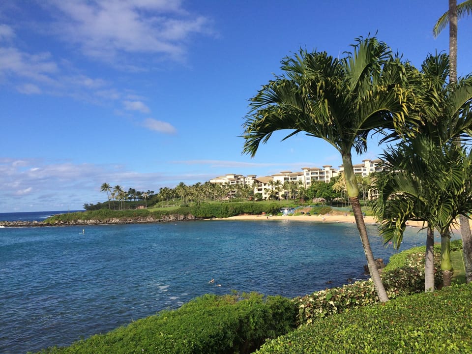 Kapalua Beach
A short walk from the condo