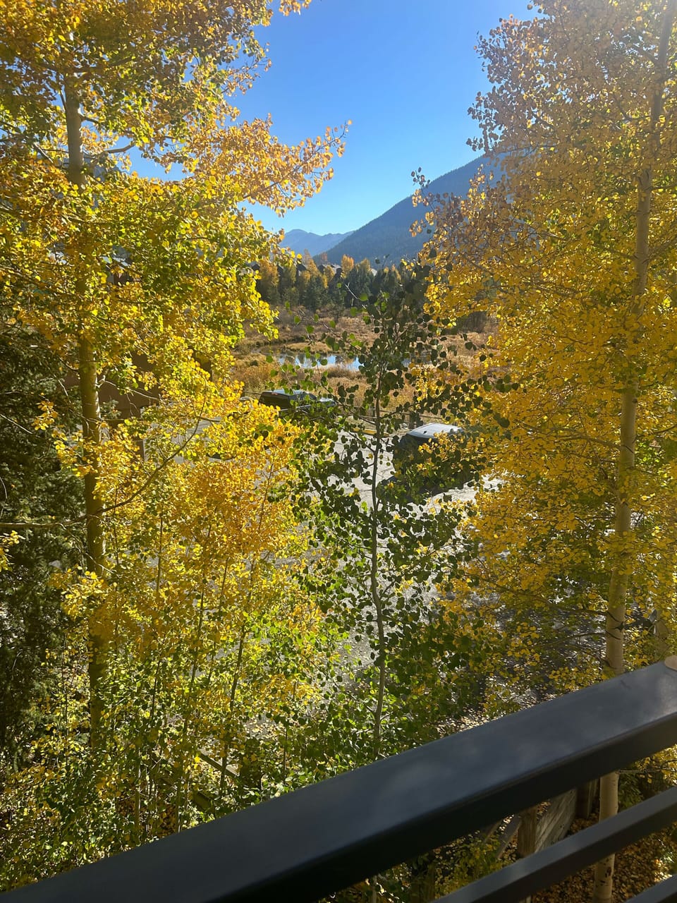 View from property