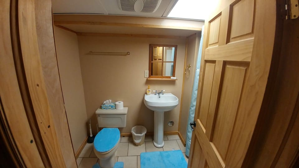 Downstairs Bathroom 2