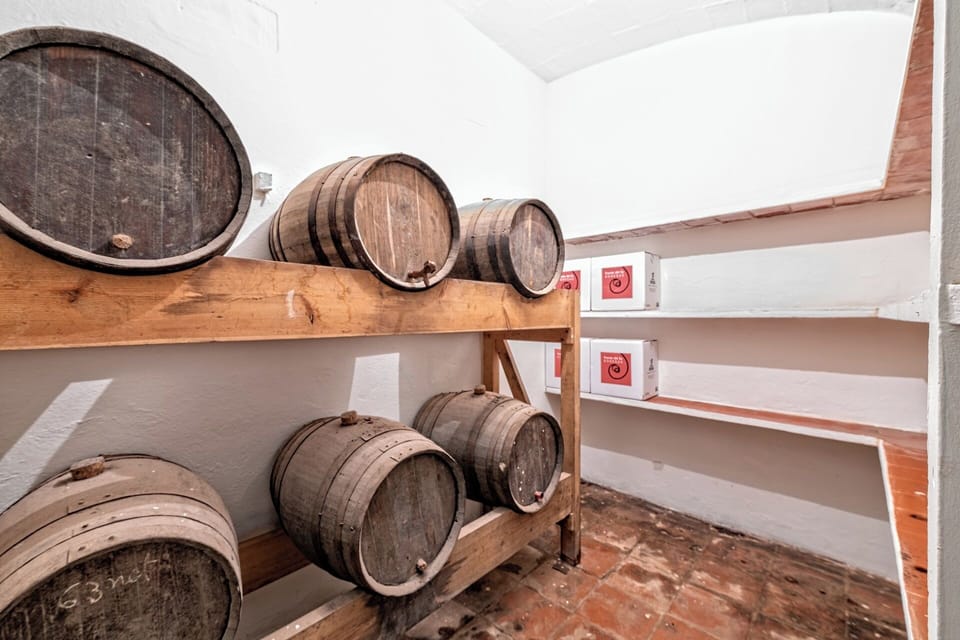 Bodegas