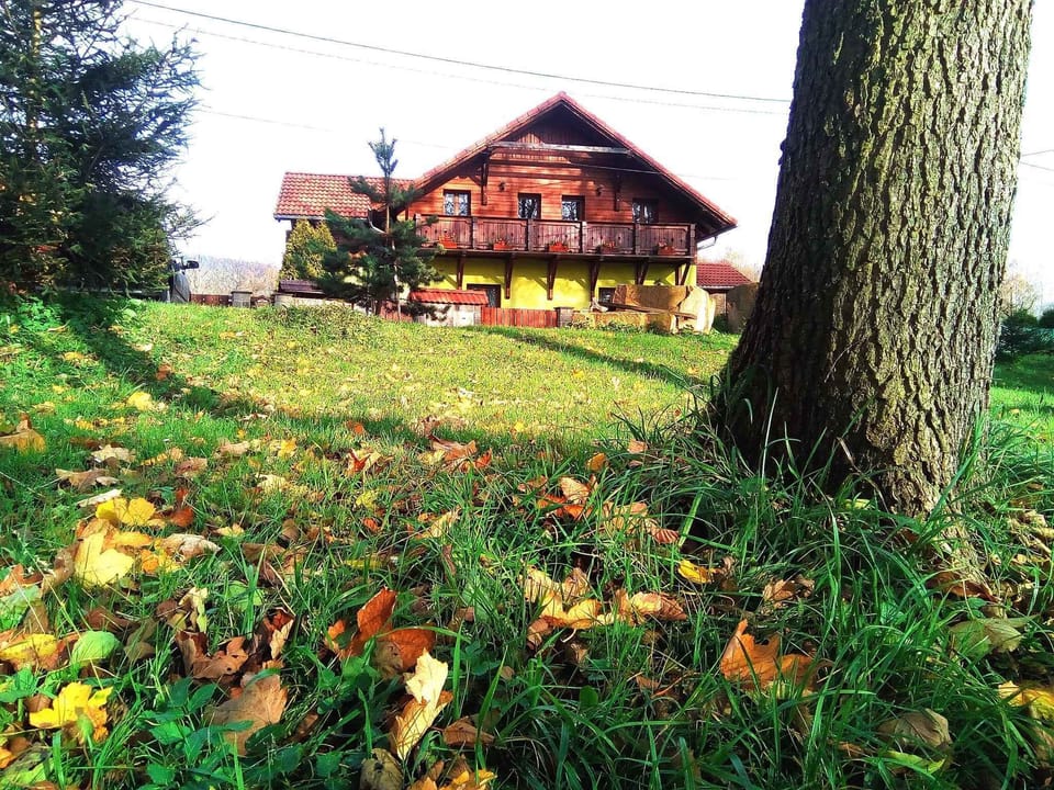 external view