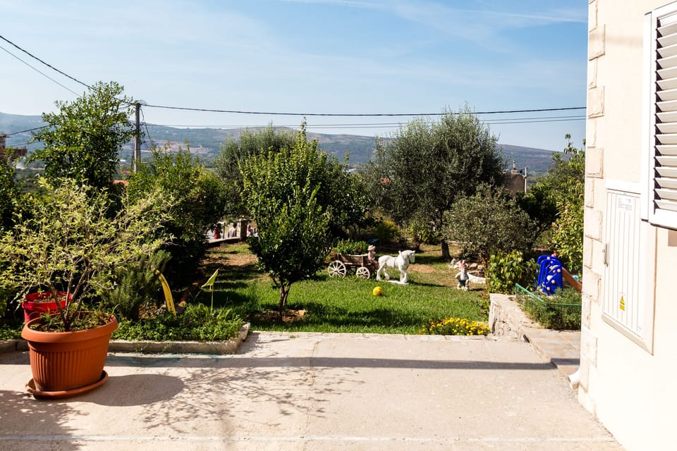 Our lovely green garden