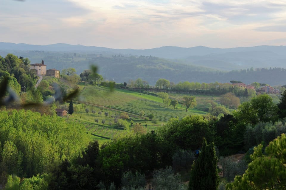 PASSERO:Peaceful farmhouse close to Tuscany 's best treasures, 1 mile from shops Apartment in Tuscany