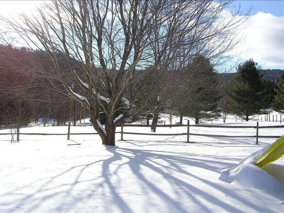View from the living room at East Hill. 
