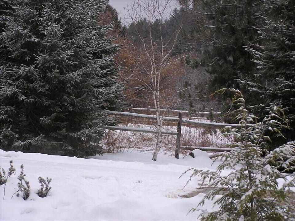 Winter Scene at East Hill, looking out a picture window.