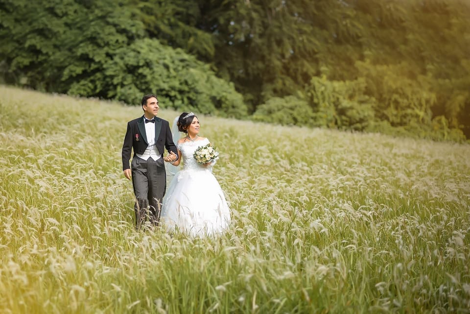 Only few step from our Property Avalon ( beauty of the grass session flowers)
