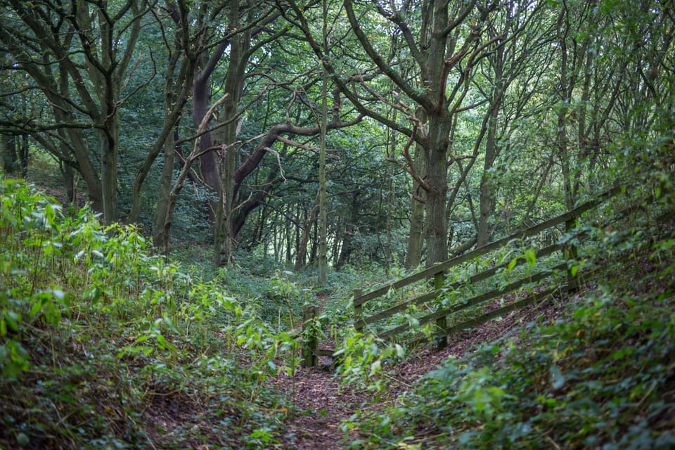 Pig Run Barn 4 Star Gold Cottage sleeps upto 4 near Durham Beamish & Newcastle